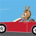 Car Rental