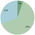 How successful do you feel the government is in protecting against identity theft?