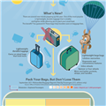 Infographics: Lost Baggage