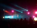 Concert