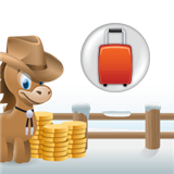 Travel Rewards Deals