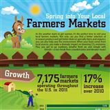 Infographics: Farmers Market