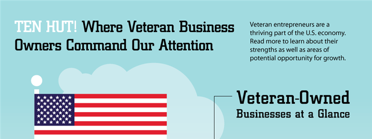Infographic: Veteran Business Owners