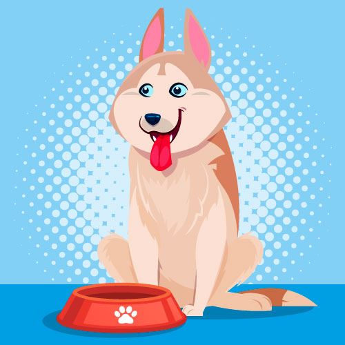 How Can I Afford A Dog On A Budget