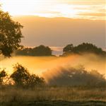 morning mist © JP Lies (CC BY-SA 2.0) https://www.flickr.com/photos/jplies/15567068396/ morning mist