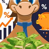 Discover Money Market vs Savings