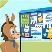 Best LLC Services