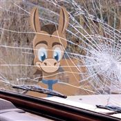 Does Car Insurance Cover Windshield Replacement