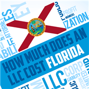 How Much Does an LLC Cost in Florida