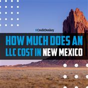 How Much Does an LLC Cost in New Mexico How Much Does an LLC Cost in New Mexico