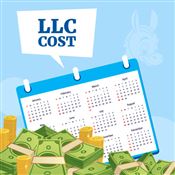 How Much Does an LLC Cost Per Year