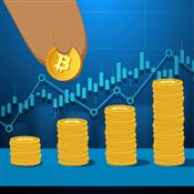 为什么要把钱放在最大的赌注上