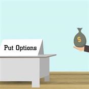 Put Options: Definition, Calculation & Example