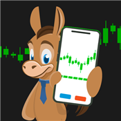 Robinhood Review