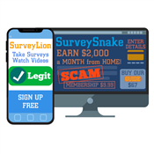 Is Survey or Promotions a Legit Way to Make Money?
