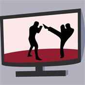 Best Ways to Watch UFC Online
