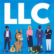 What is an LLC