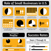 Infographic: What Makes Small Businesses Sink or Swim