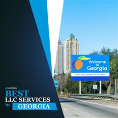 Best LLC Services in Georgia