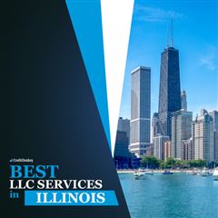 Best LLC Services in Illinois