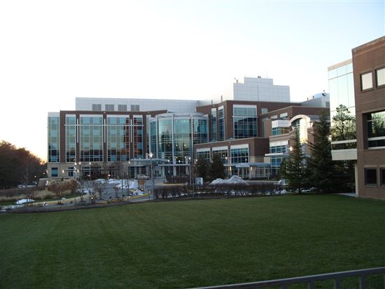 Inova Fairfax Hospital - Green Lawn