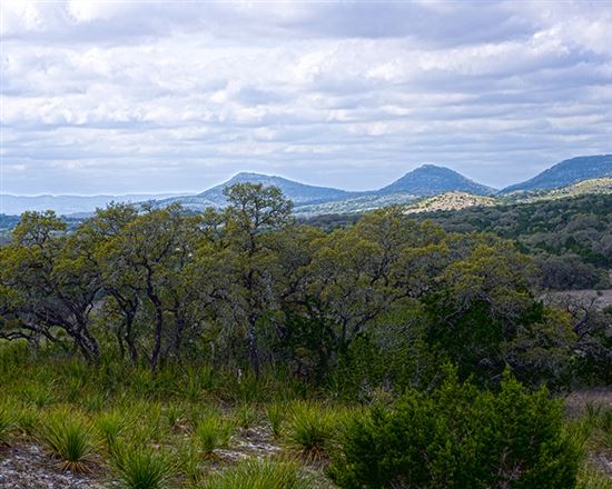 Hill Country Vista © Mike Fisher (CC BY 2.0) https://www.flickr.com/photos/bfs_man/6453983375/ Hill Country Vista
