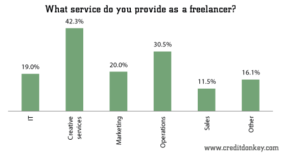 What service do you provide as a freelancer?