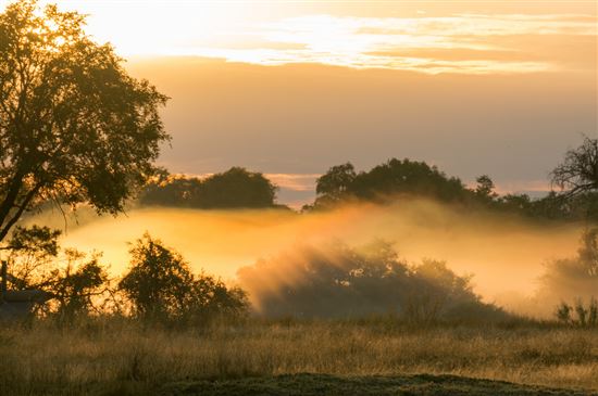 morning mist