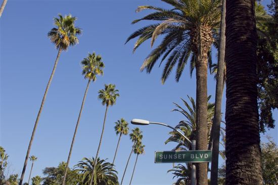 Sunset Boulevard - LA