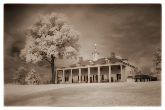 Mount Vernon in Sepia