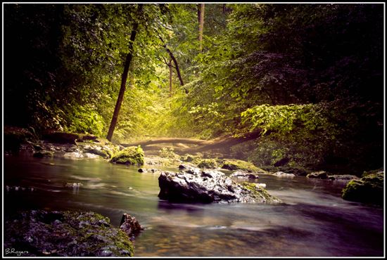 Creek at Short Springs, TN © Brenton Rogers (CC BY 2.0) https://www.flickr.com/photos/bmac12/4709835157 Creek at Short Springs, TN