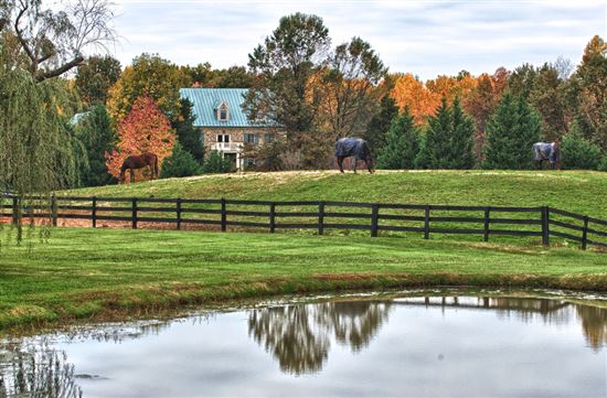Pasture in Middleburg, VA