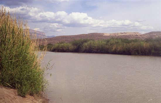 Rio Grande, Texas. © Ron Knight (CC BY 2.0) https://www.flickr.com/photos/sussexbirder/8609205901/ Rio Grande, Texas.