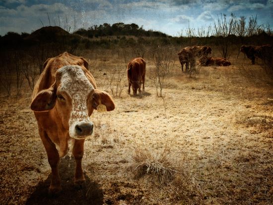 # 14/7 © Anne Worner (CC BY 2.0) https://www.flickr.com/photos/wefi_official/11721723814/ # 14/7