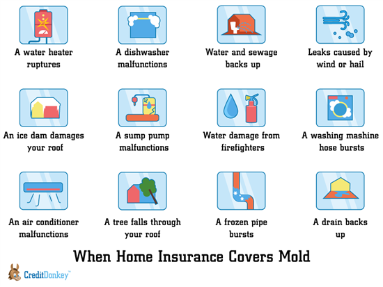 Washing Machine Flooded House: Will Home Insurance Cover It?