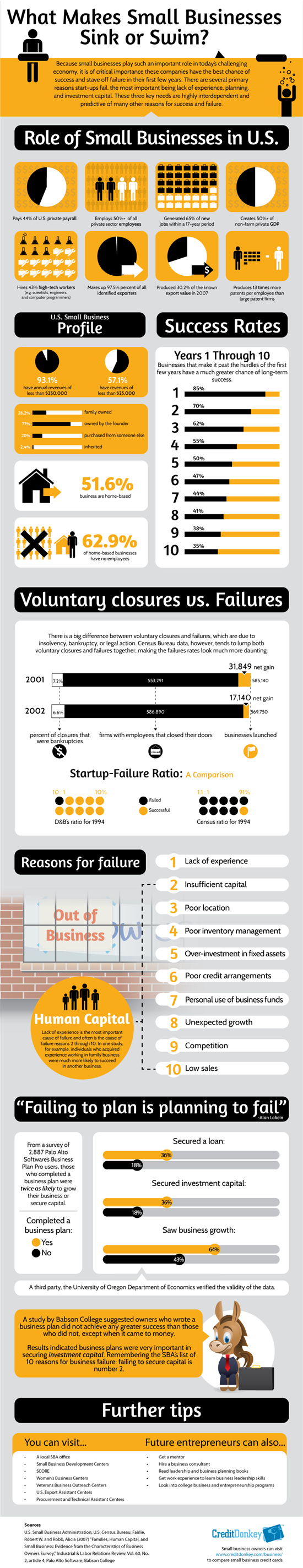 Infographic: What Makes Small Businesses Sink or Swim