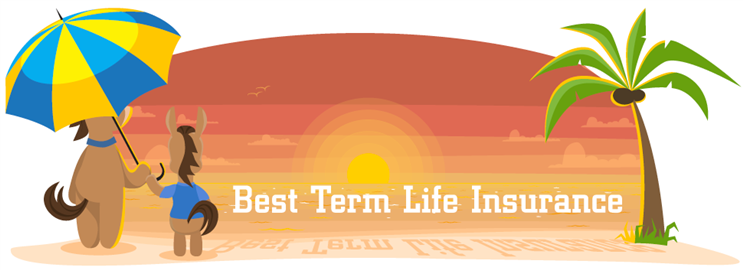 Best Term Life Insurance Companies