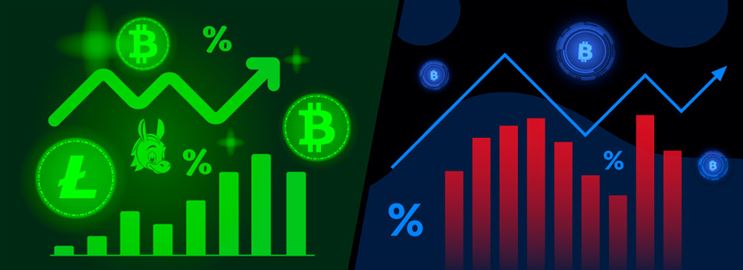 eToro vs Interactive Brokers