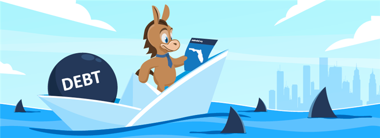 Florida Debt Relief