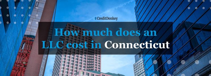 How Much Does an LLC Cost in Connecticut