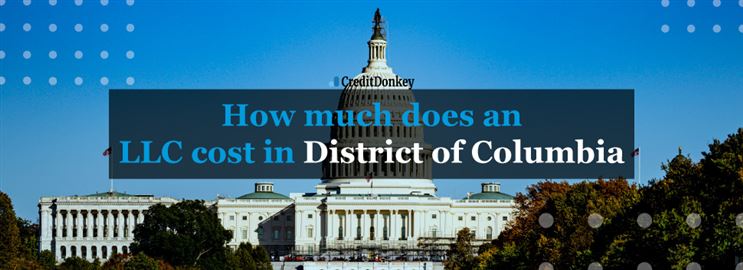 How Much Does an LLC Cost in District of Columbia