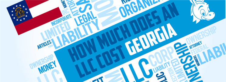 How Much Does an LLC Cost in Georgia
