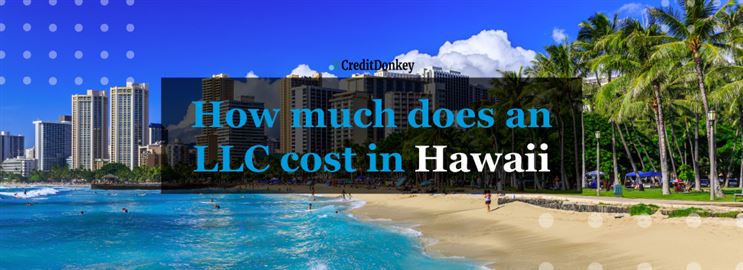 How Much Does an LLC Cost in Hawaii