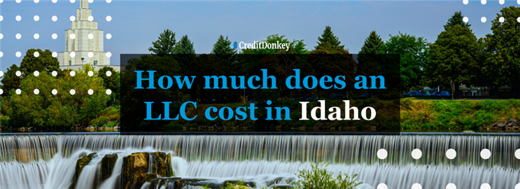How Much Does an LLC Cost in Idaho