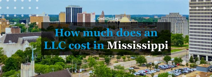 How Much Does an LLC Cost in Mississippi