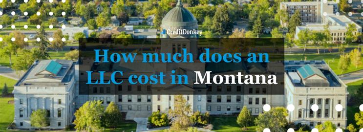 How Much Does an LLC Cost in Montana