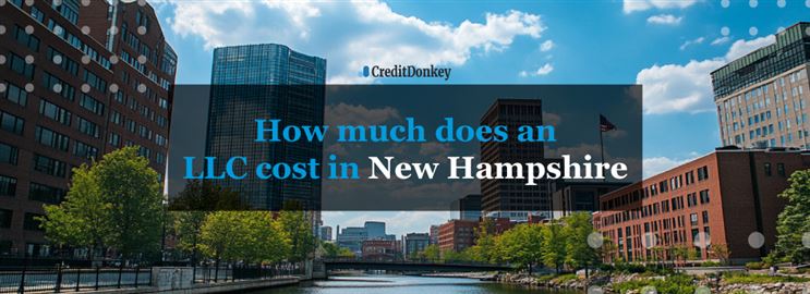 How Much Does an LLC Cost in New Hampshire