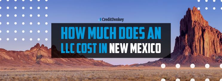 How Much Does an LLC Cost in New Mexico