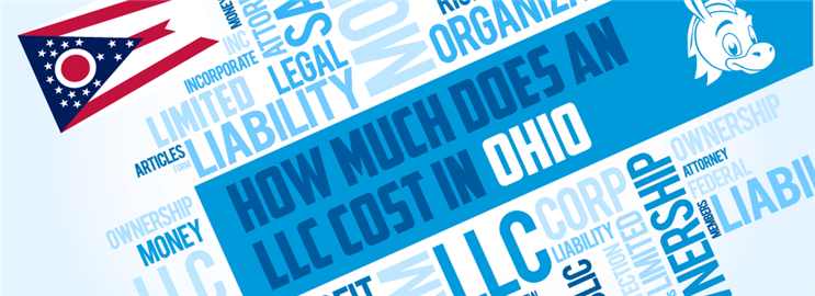 How Much Does an LLC Cost in Ohio