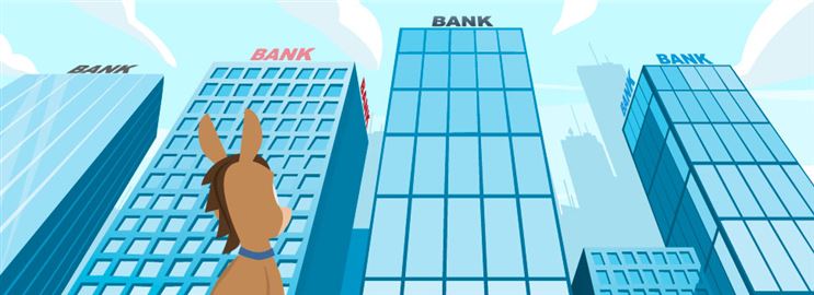 Largest Banks in the US